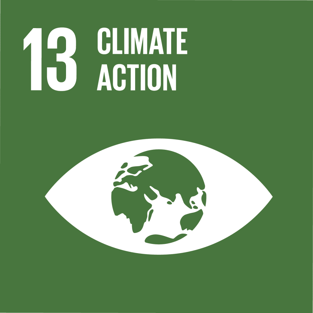 SDGs Goal 13 Climate Action cover image
