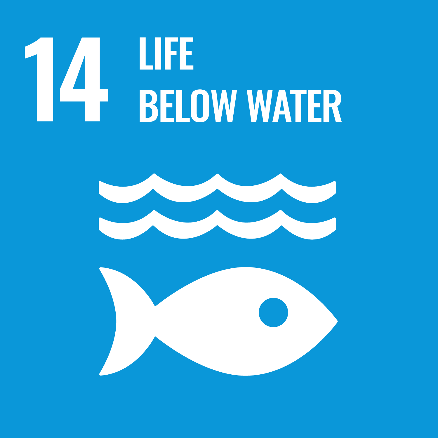 SDGs Goal 14 Life Below Water cover image
