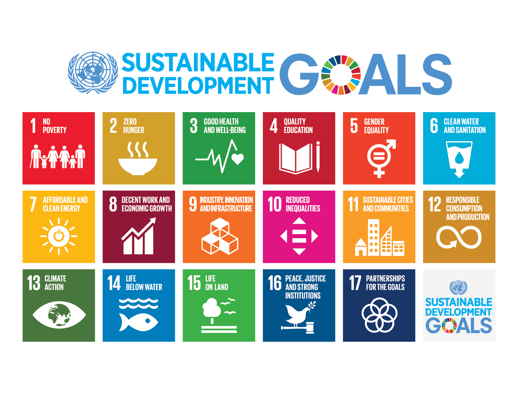After learning basis of SDGs cover image