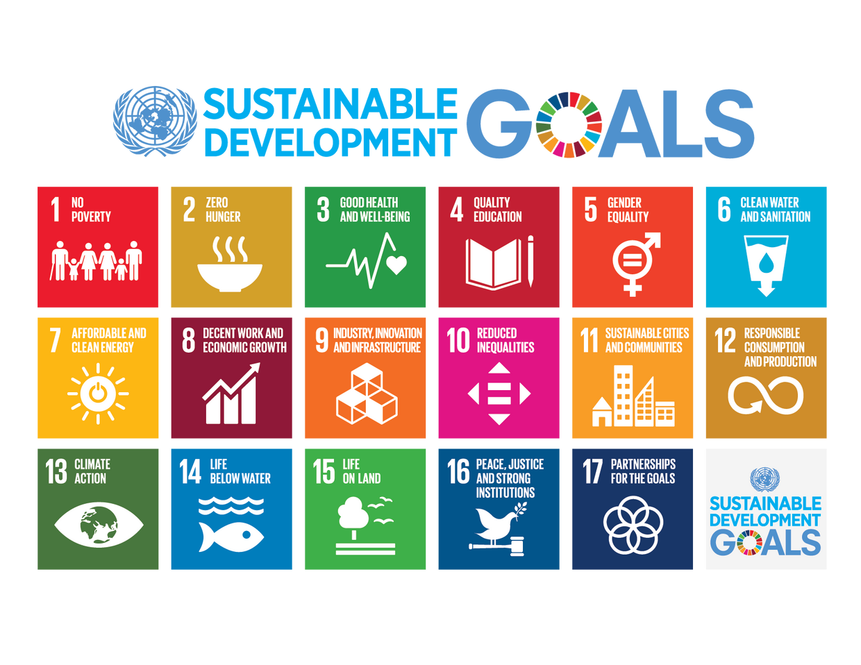 After learning basis of SDGs cover image
