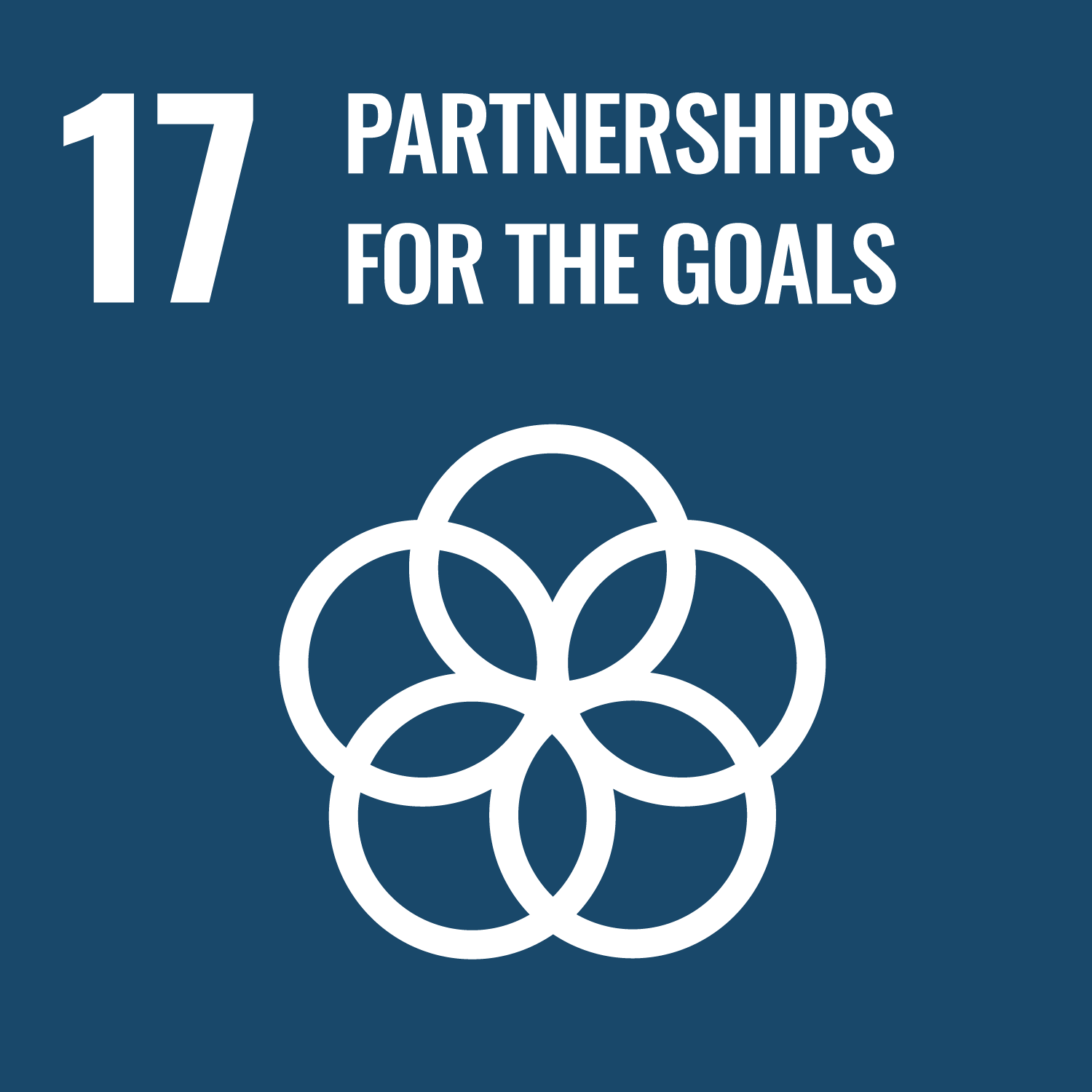 SDGs Goal 17 Partnerships for the Goals cover image