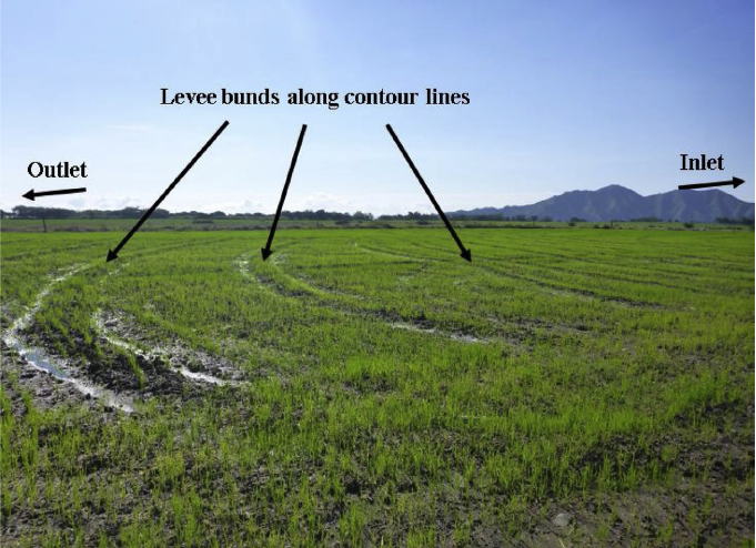 Contour-levee irrigation system cover image