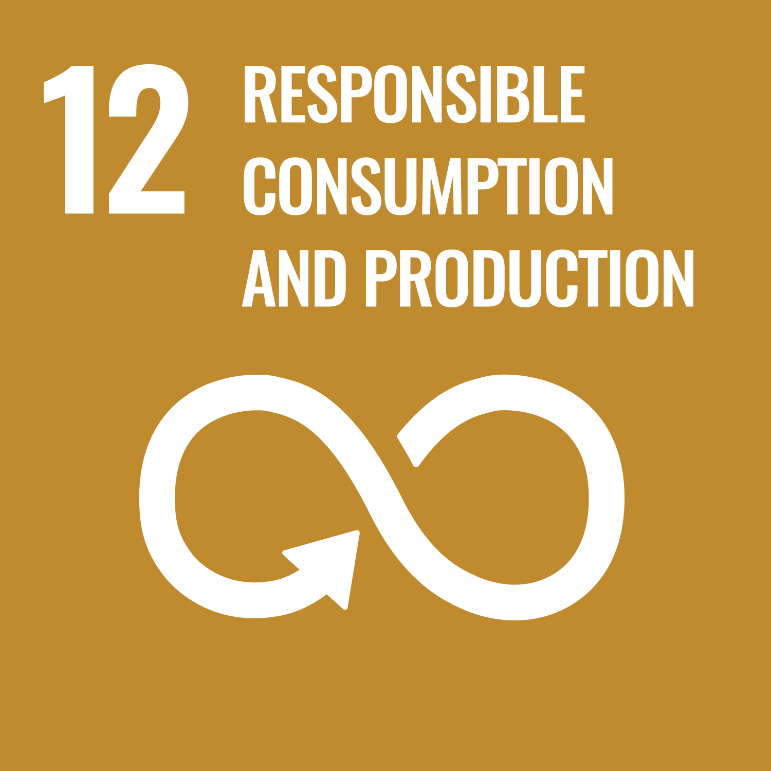 SDGs Goal 12 Responsible Consumption and Production cover image