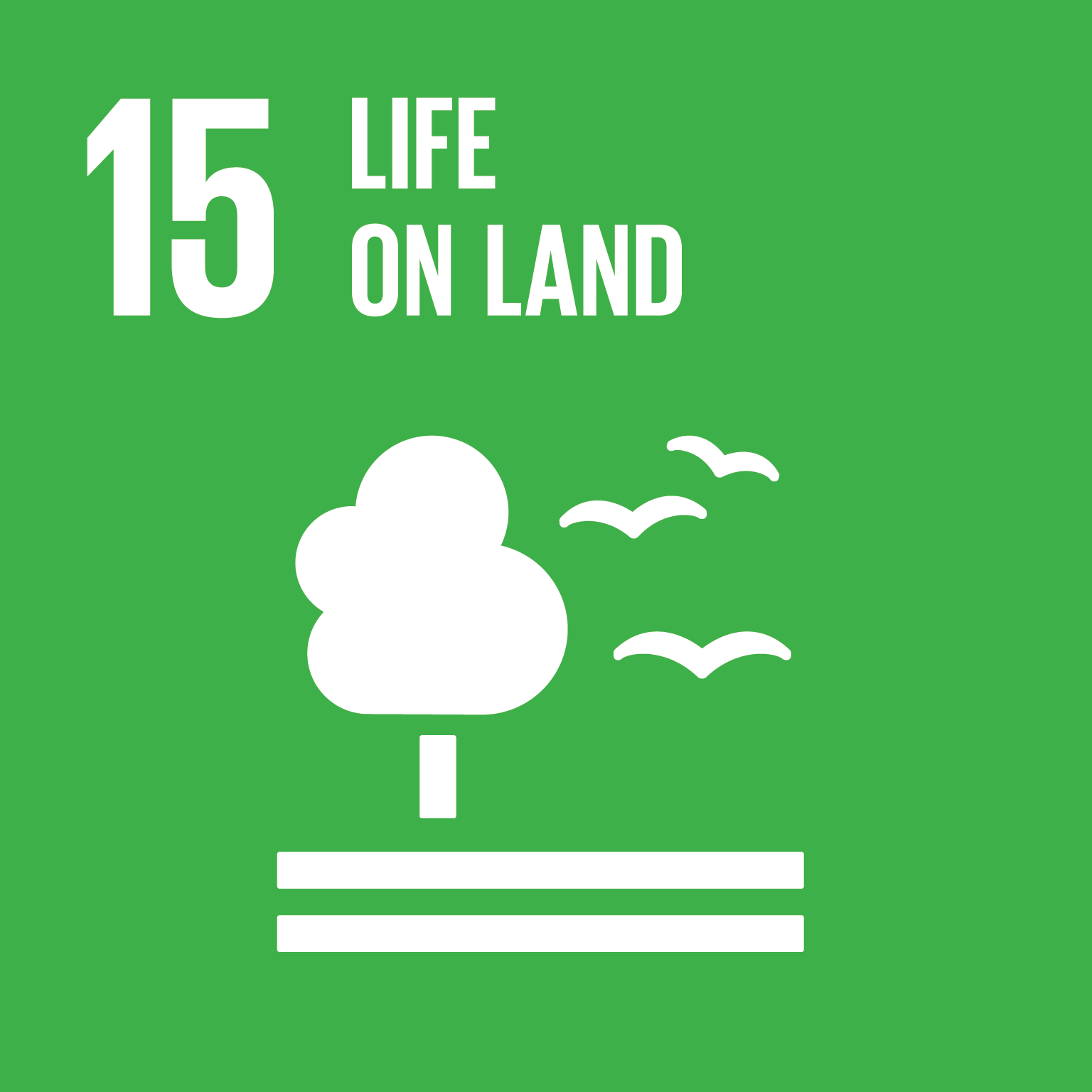 SDGs Goal 15 Life on Land cover image